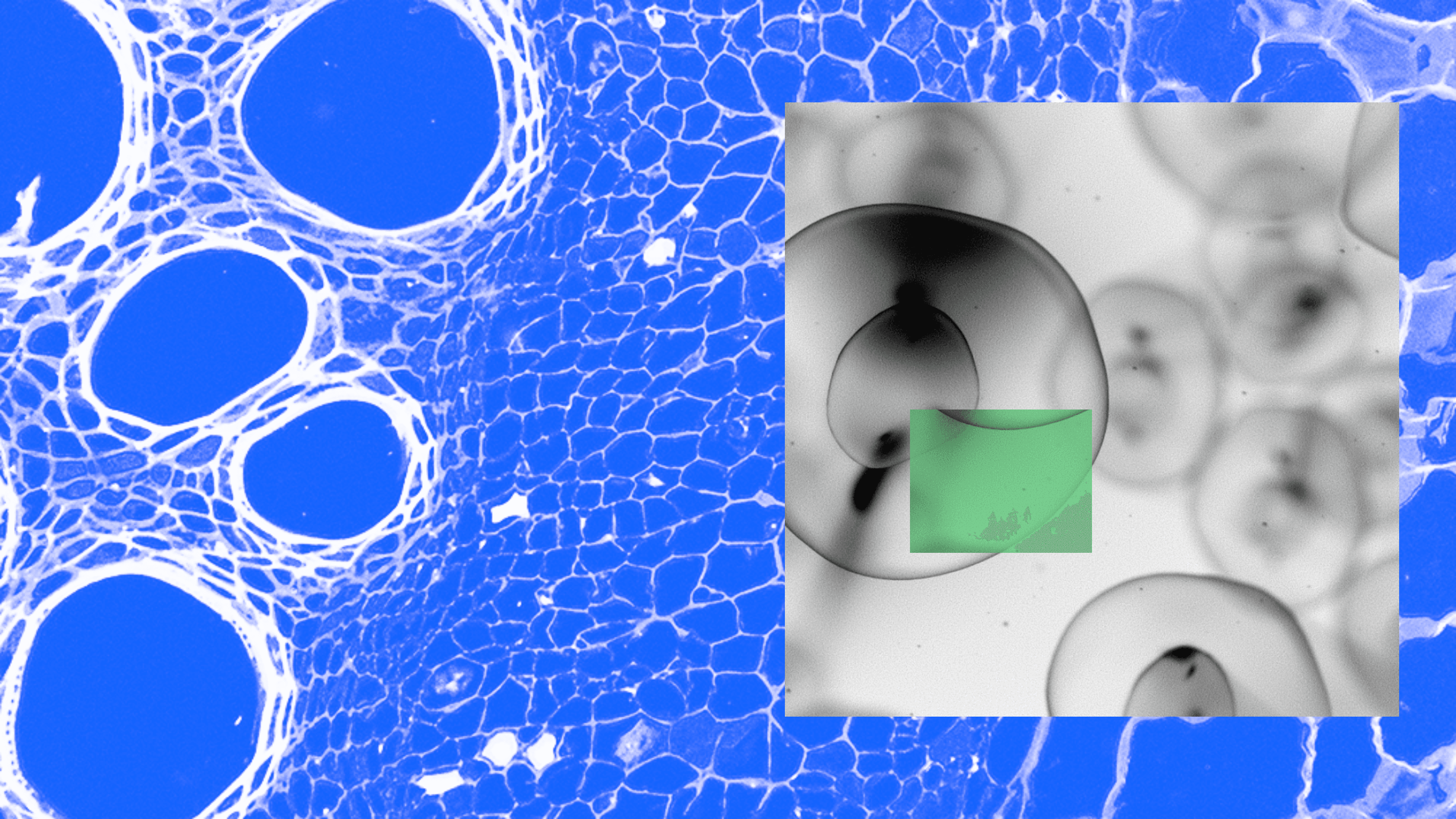 コンピュータ・IT statistical modeling molecular biology mqdefault.jpg