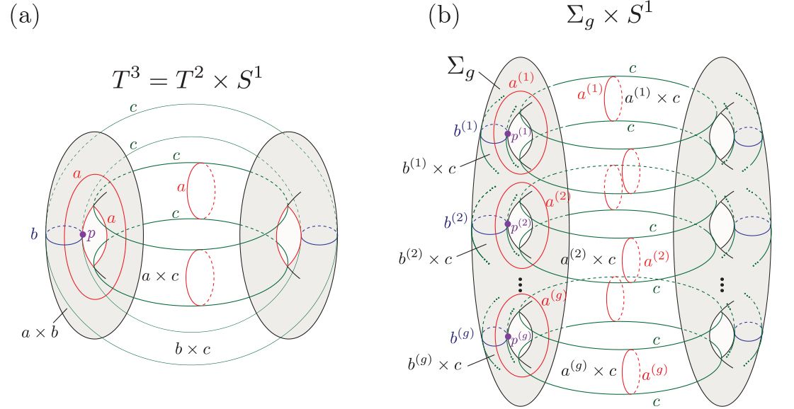 Fig. 2: (a). A 3D torus can be considered as a product of 2D torus T and a circle.
